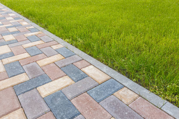 Best Professional Driveway Pavers  in Oceana, WV